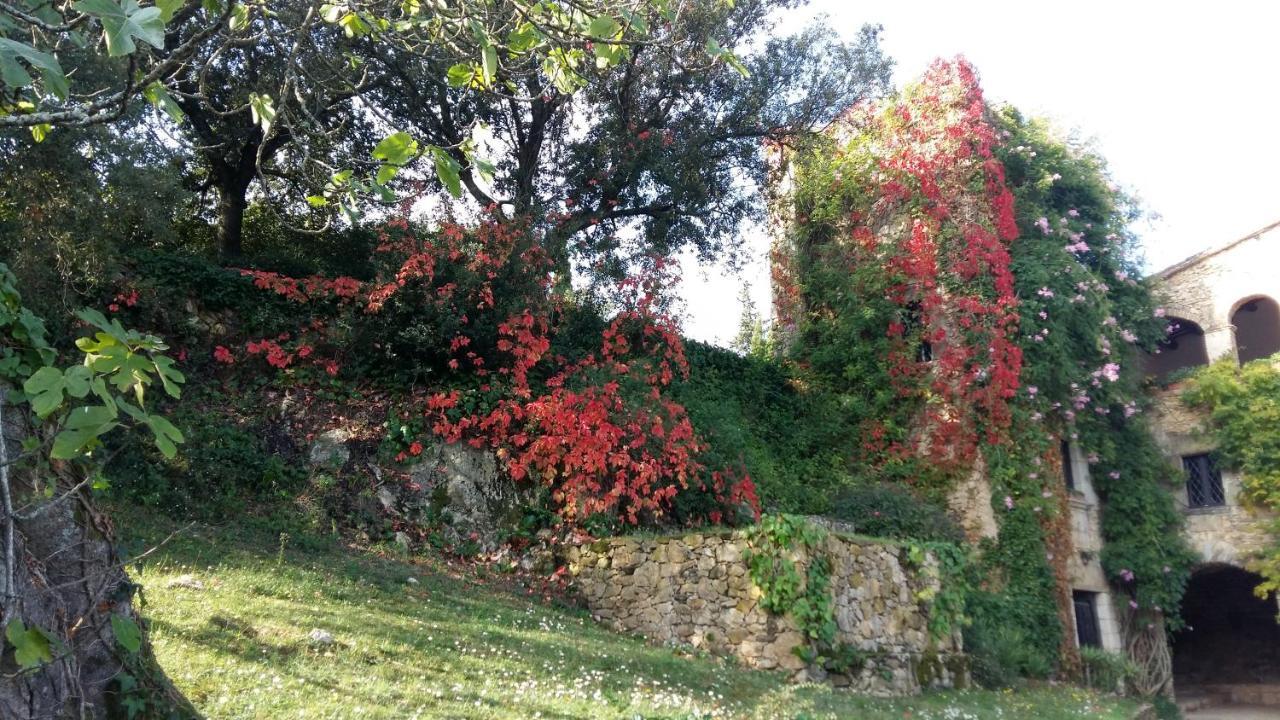 Mas Caterina Pension Madremanya Buitenkant foto